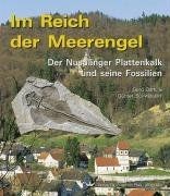 Reich der meerengel - der, meerengel:
