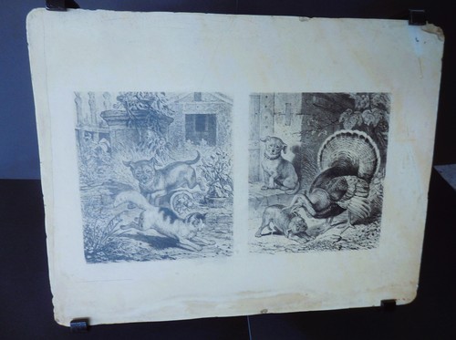 Lithographiestein flachdruck - lithographiestein,