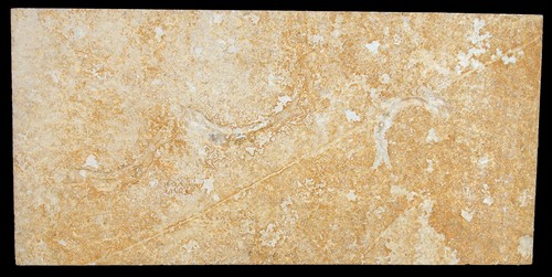 Malm leptolepides - malm,