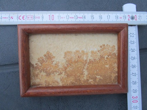 Original dendriten - ,