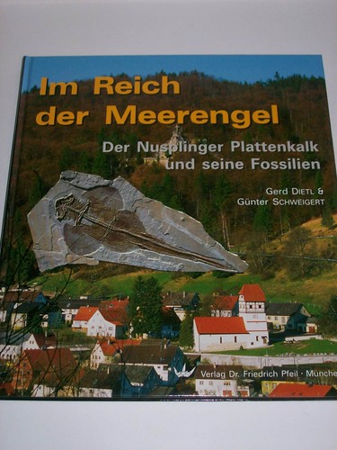 Reich der meerengel - der,