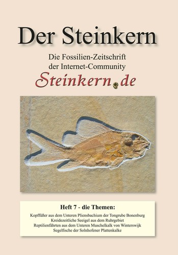 Der steinkern ruhrgebiet - der,