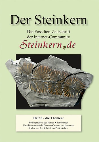 Der steinkern südengland - der,